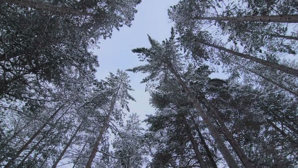 Survivorman - Norwegian Mountain Survival Part 2