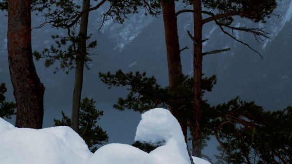 Survivorman - Norwegian Mountain Survival Part 1