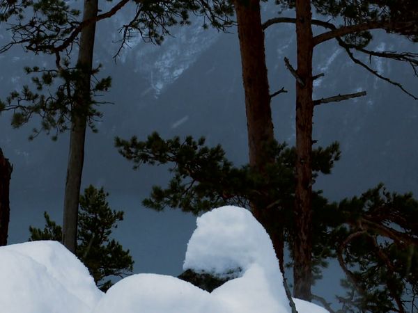Survivorman - Norwegian Mountain Survival Part 1