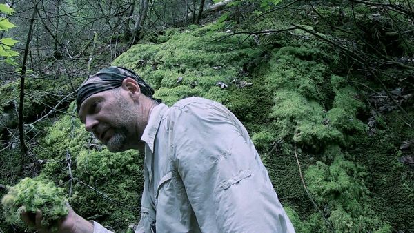 Survivorman - Temagami Forest