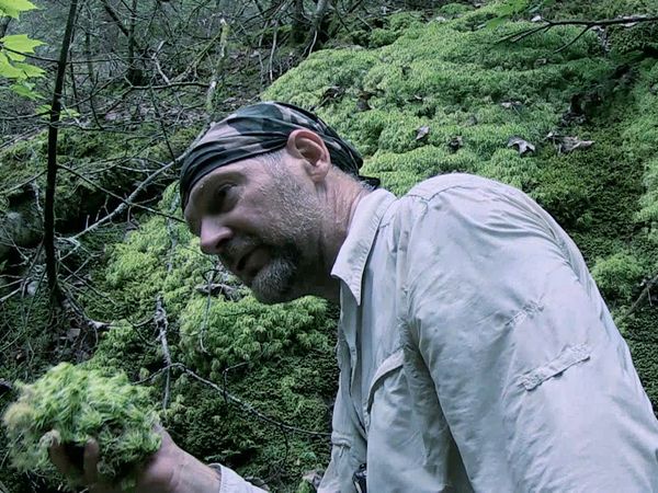 Survivorman - Temagami Forest