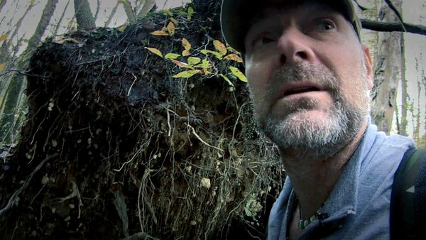 Survivorman - Smoky Mountain Sasquatch