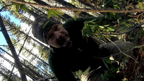 Survivorman - Giants of the Forest