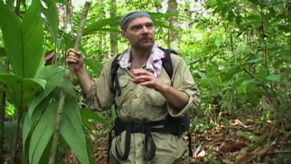 Survivorman - Costa Rica