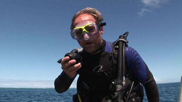 Survivorman - Cook Islands, South Pacific