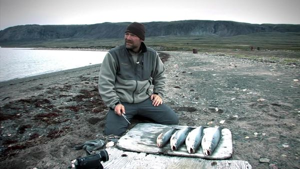Survivorman - Arctic Tundra