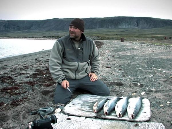 Survivorman - Arctic Tundra