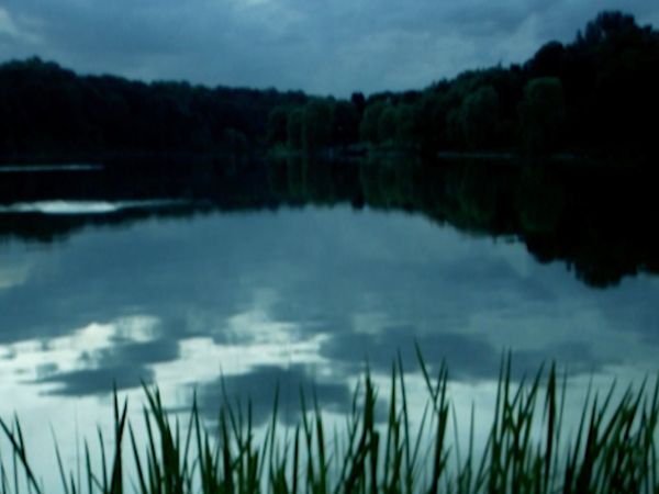 Las Primeras 72 Horas Tras El Crimen - Monstruo del Lago Ness