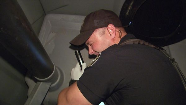COPS - Fighting to Lose