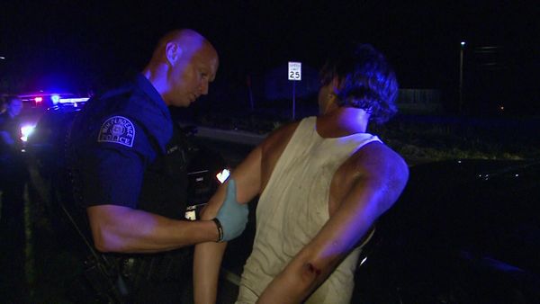 COPS - Hit and Run