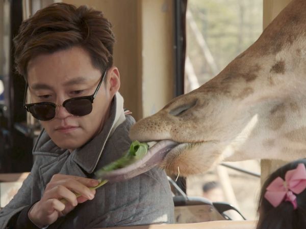 Marriage Contract - Did Mom ask for this man to come?
