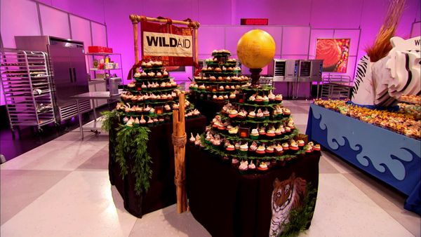 Cupcake Wars - WildAid Save the Tigers