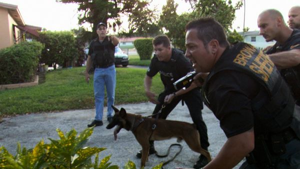 COPS - What's Your Deductible?