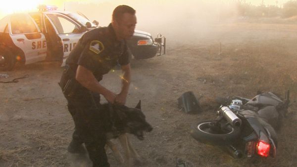 COPS - Bumming a Smoke