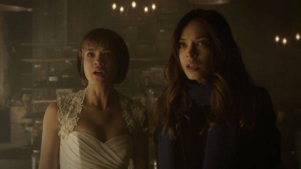 Beauty and the Beast - Cold Case