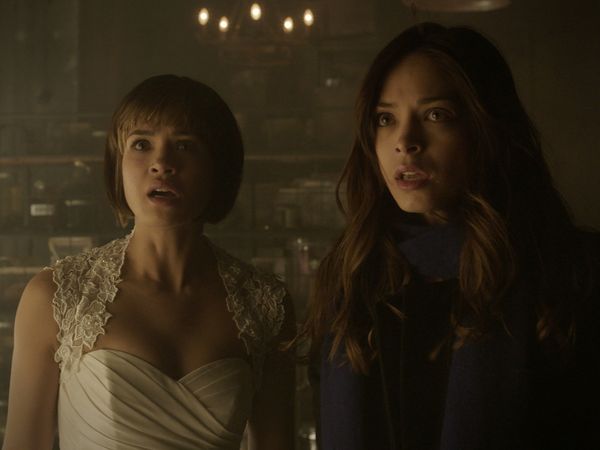 Beauty and the Beast - Cold Case