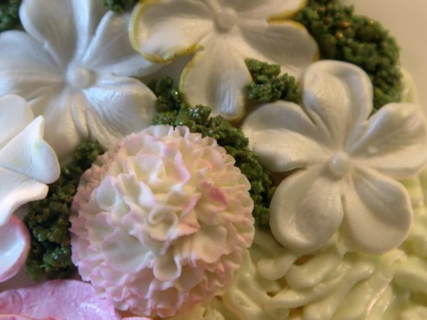Cake Hunters - A Glamping Wedding