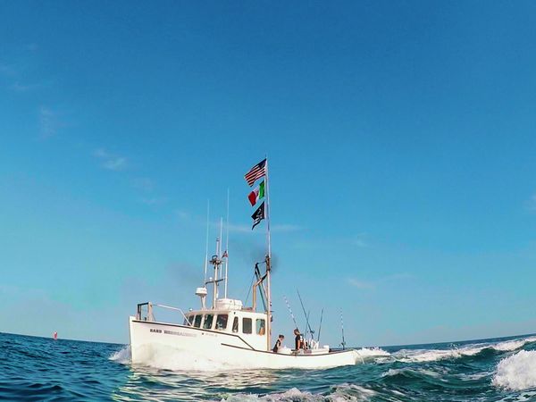 Wicked Tuna - Eine ungewisse Zukunft