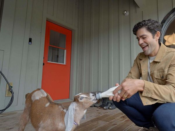 MTV Cribs SV - Adrian Grenier / Nastia Liukin