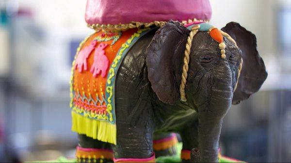 Cake Hunters - Elephant In the Room