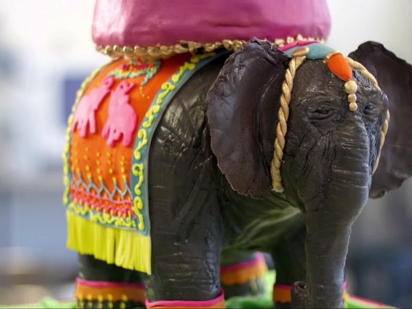 Cake Hunters - Elephant In the Room