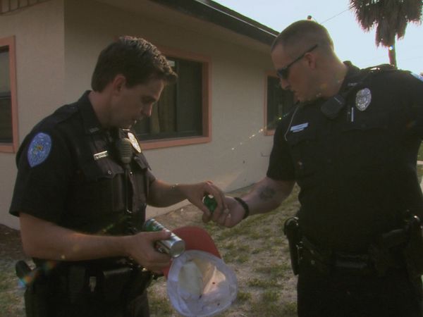 COPS - An Innocent Gardener