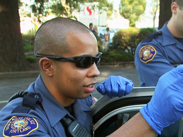 COPS - Invisible Intruders