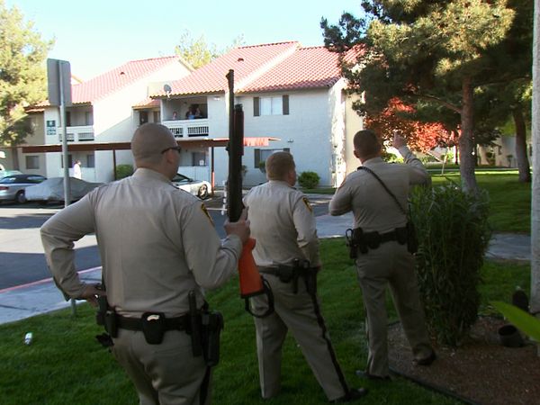 COPS - Tree Hugging