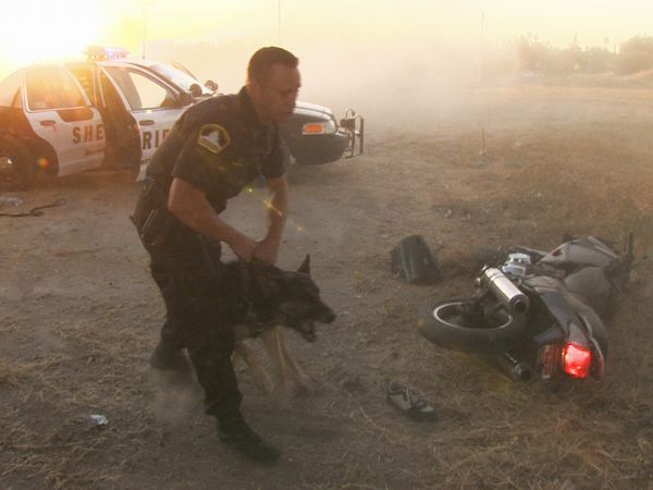 COPS - Bumming a Smoke