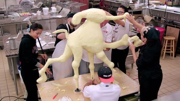 Crazy Cakes - Realistic Animal Cakes