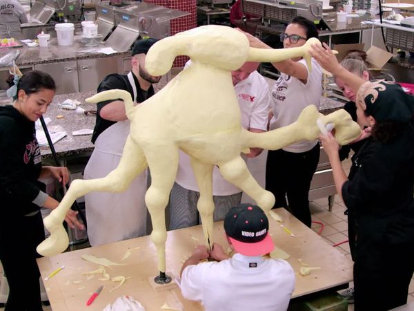 Crazy Cakes - Realistic Animal Cakes