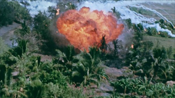 Vietnam: The War That Made Australia - Bodycount