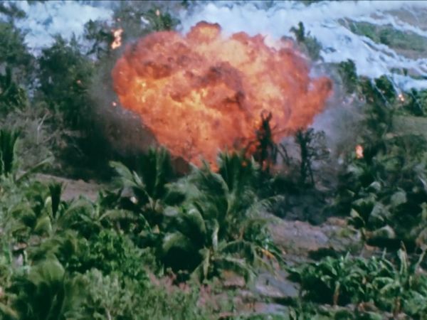 Vietnam: The War That Made Australia - Bodycount