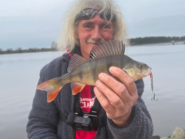Fang mal was - Mit Janne auf Zander am Kanal