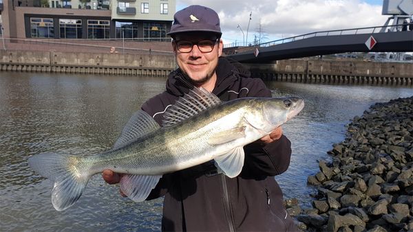 Fang mal was - Zander im Hafen vs Hecht mit Pose