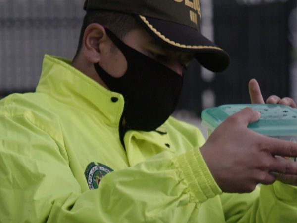 Metrópoli Bogotá - Metrópoli Bogotá: Episodio 1
