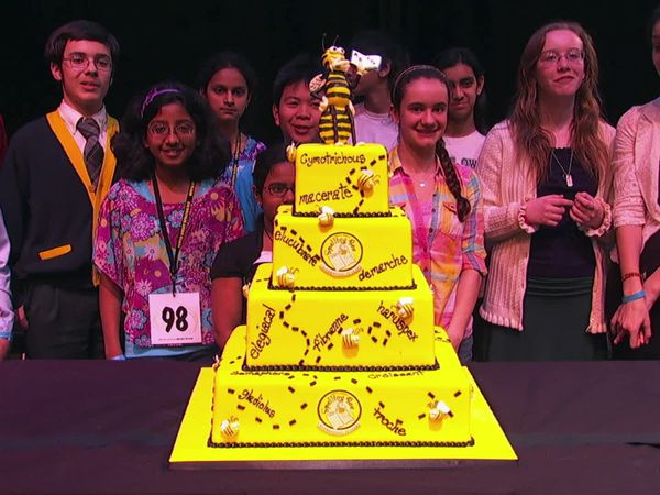 Cake Boss - Going Up?