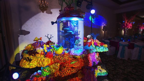 Cake Boss - Under the Sea