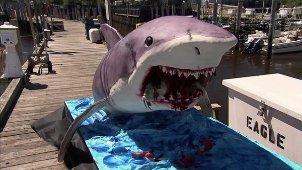 Cake Boss - Shark Cake, Scooter, and Smelly Fish