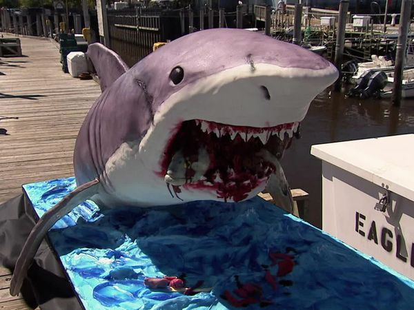 Cake Boss - Shark Cake, Scooter, and Smelly Fish