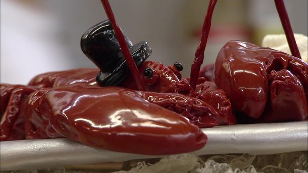 Cake Boss - Leaning, Lobsters and Lectures