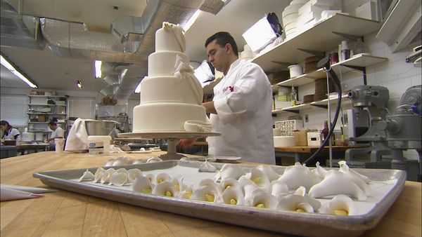 Cake Boss - Bi-Plane, Bridezilla and Busting Buddy