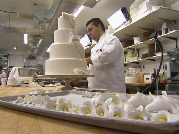 Cake Boss - Bi-Plane, Bridezilla and Busting Buddy
