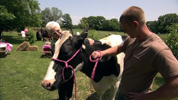 Cake Boss - Prize Cow, Pop-Tarts and a Predicament