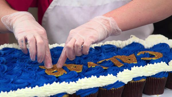 Cake Boss - Bugging Out And Big Cheers