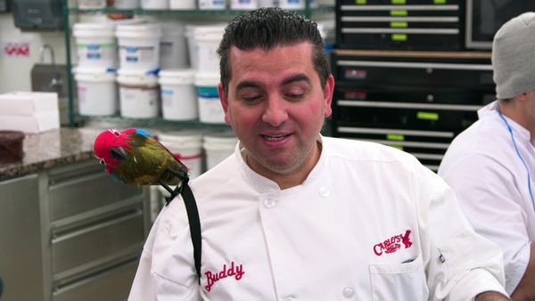 Cake Boss - Pirates And Pastries