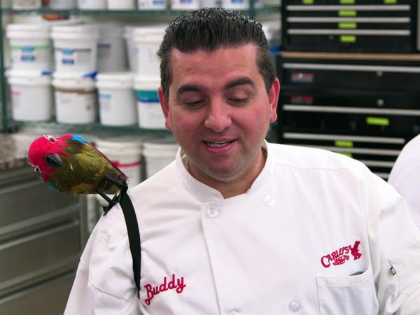 Cake Boss - Pirates And Pastries