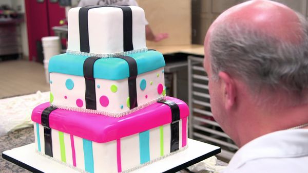 Cake Boss - Secret Proposals, Patients and Privacy Please