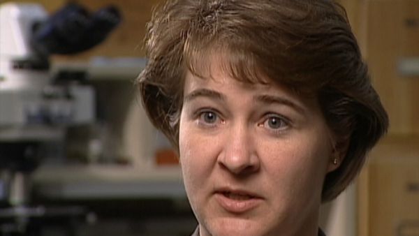The FBI Files - Eine zerissene Familie