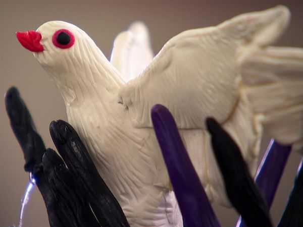 Cake Boss - Hocus Pocus